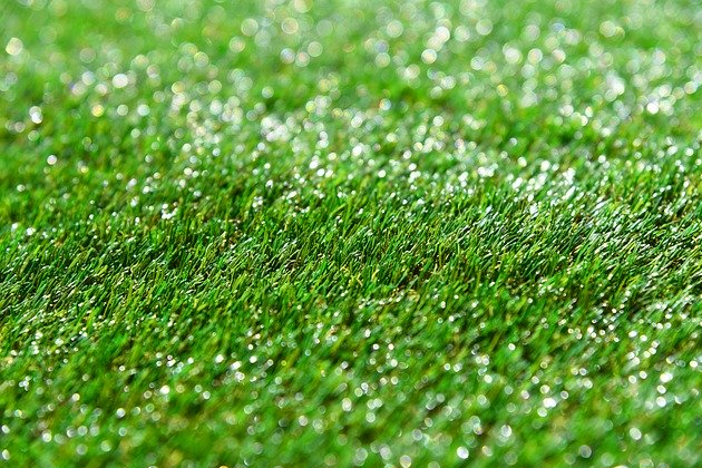 Artificial Grass